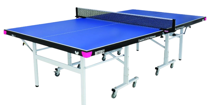 Ping Pong Table