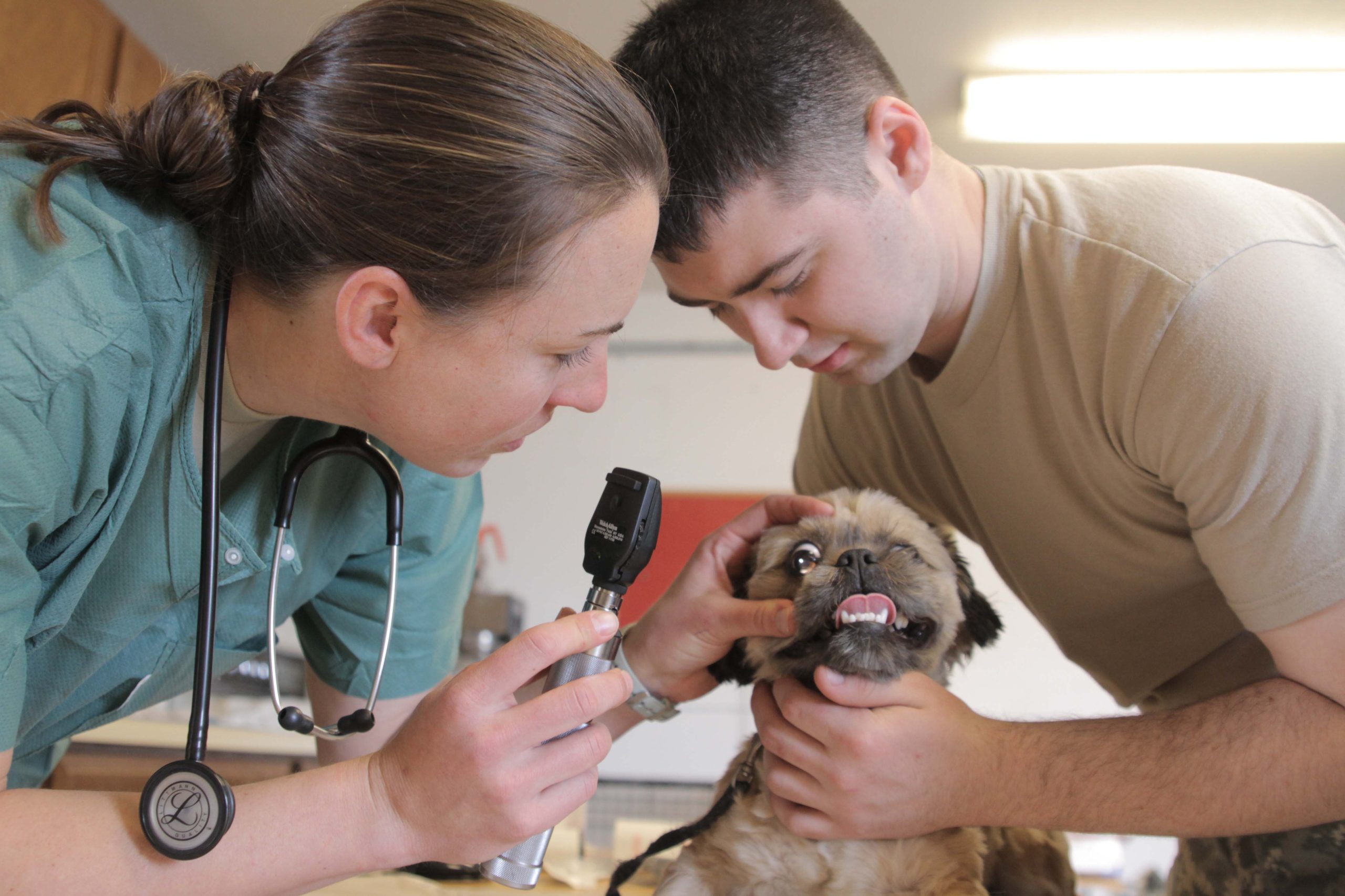 Pet Care Center