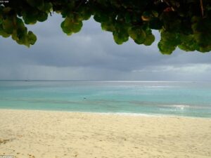 Vacation Package